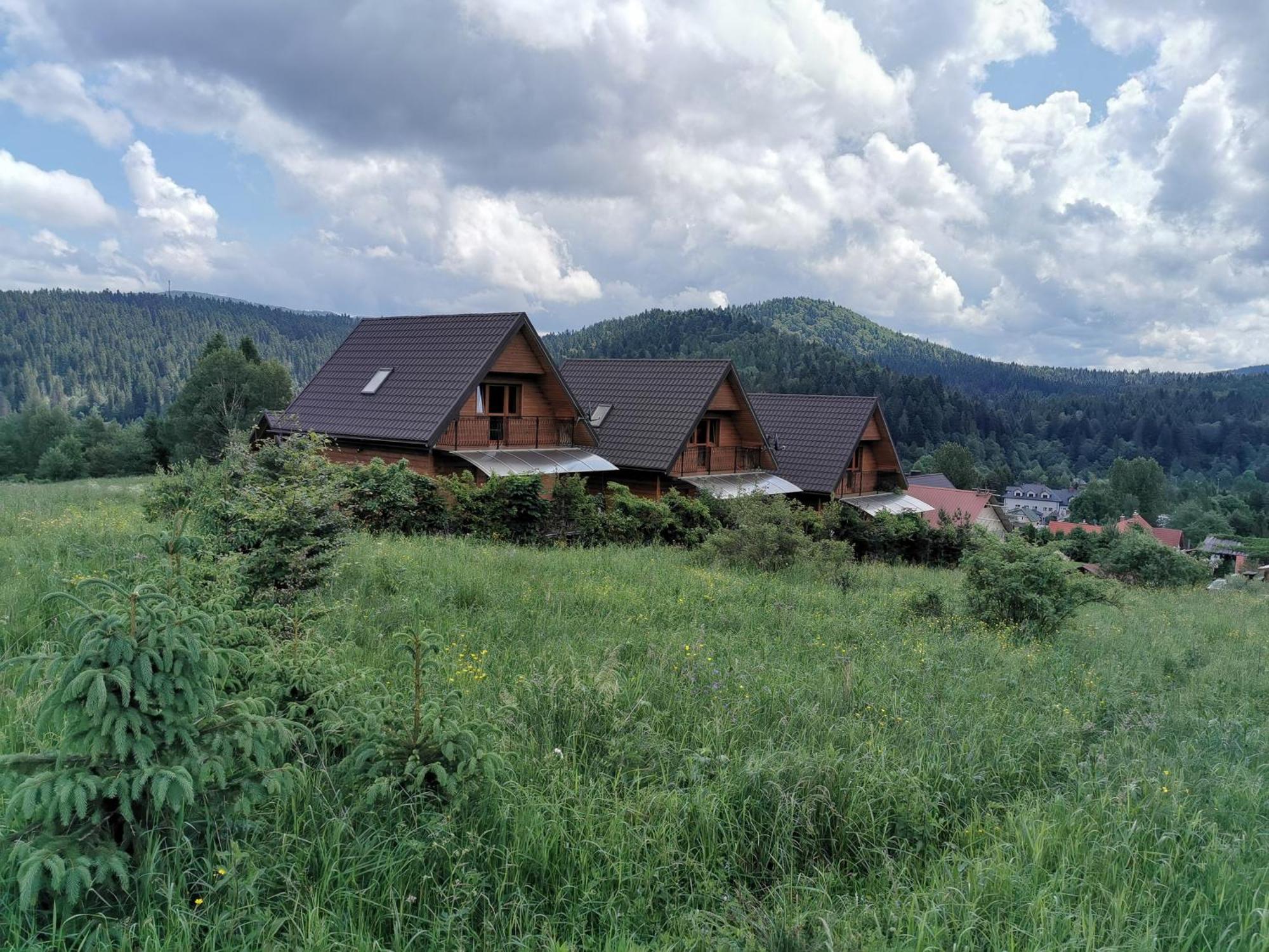 Jeleni Skok Apartment Cisna Ruang foto