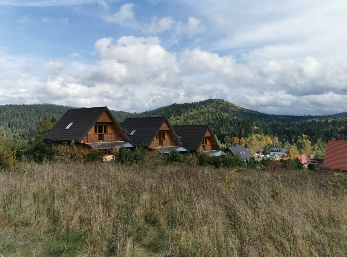 Jeleni Skok Apartment Cisna Bagian luar foto