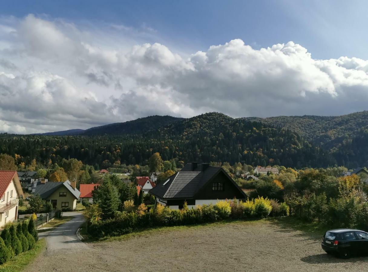 Jeleni Skok Apartment Cisna Bagian luar foto